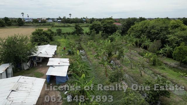 ขาย ที่ดิน พร้อม รีสอร์ท สวนมะม่วง บางเลน สองพี่น้อง สุพรรณบุรี 6