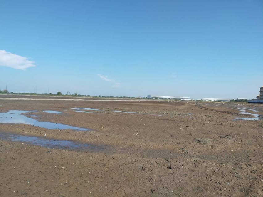 ต้องการขายที่ดิน ใกล้ทางด่วนบางปะอิน-โคราช  บางปะอิน  33 ไร่ 2 งาน 2 ตรว 4