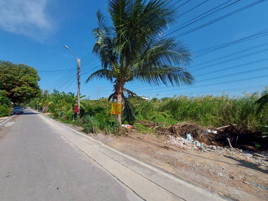 ขายที่ดินเปล่า ซอยฉัตรหลวง 1 ไทรน้อย นนทบุรี