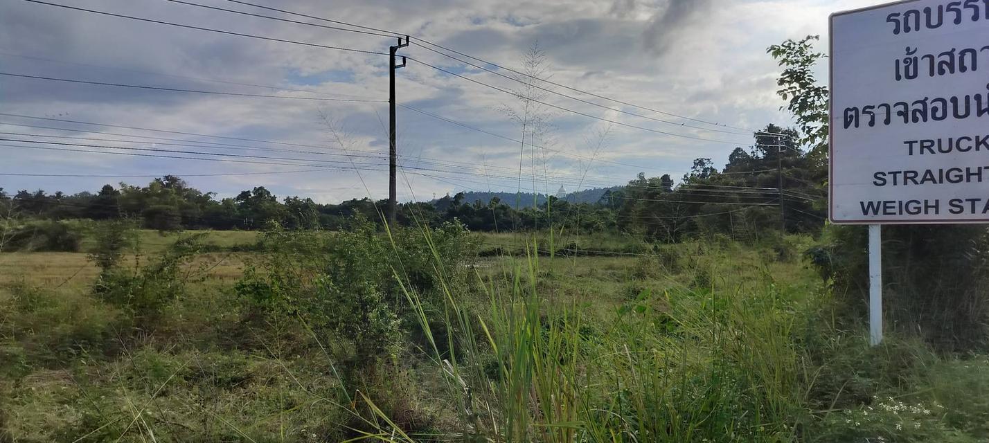 ที่ดินเชียงใหม่ ดอยสะเก็ด ติดถนนใหญ่ทำเลดี เจ้าของขายเอง 6