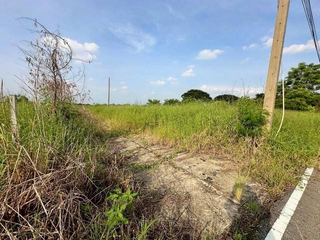 ขายที่ดินเปล่า เนื้อที่ 153 ตารางวา ซอยบึงบอน 3 ถนนเลียบคลอง 8 ตะวันออก ตำบลบึงบอน อำเภอหนองเสือ จังหวัดปทุมธานี 1