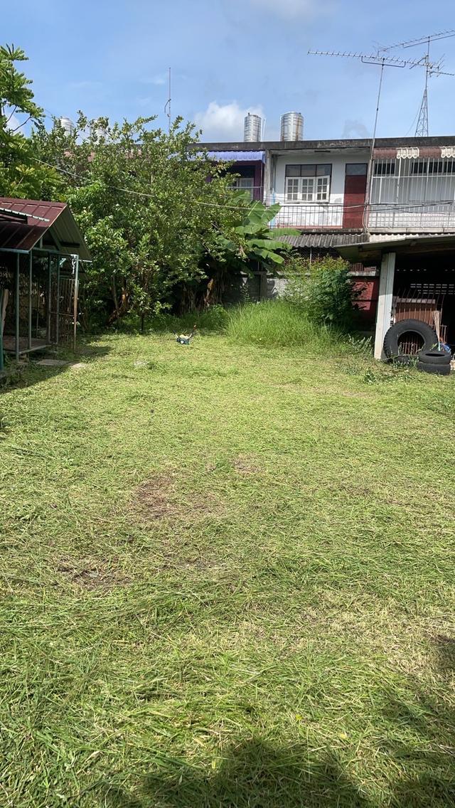 ขายที่ดินใจกลางเมืองตรัง  2