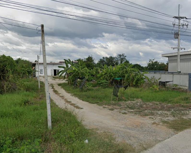 ขายที่ดินมาบโป่ง 1 ไร่ ซอยวัดโป่งตามุข ใกล้ถนนสี่เลน3023-1กม. ใกล้นิคมอมะเฟส10-8กม. อ.พานทอง ชลบุรี 5