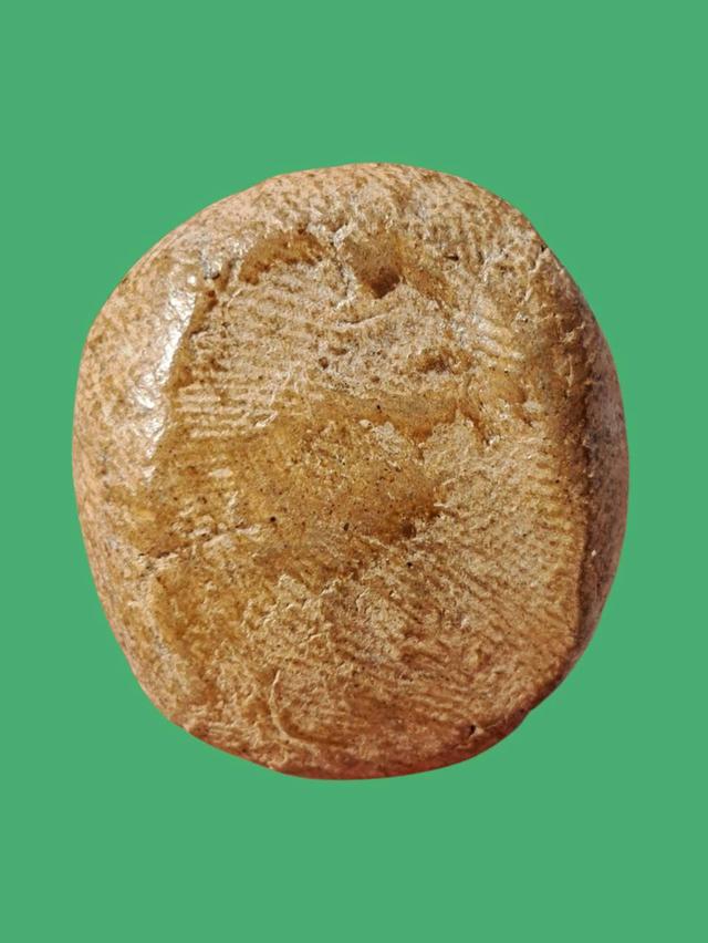 เปิดจ้า💞สนใจทักแชทได้เลยนะคะ 💚ส่งฟรีค่ะ 🥰 รูปที่ 3