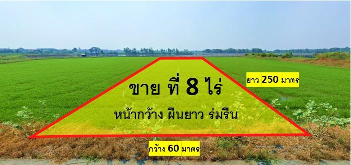 ขายที่ นครชัยศรี จ.นครปฐม 3