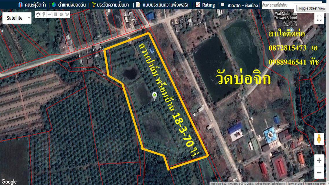 รูป ขายสวนปาล์มพร้อมบ้าน 18-3-70 ไร่ เขตเทศบาลบางจาก อ.เมือง จ.นครศรีฯ ถนน ไฟฟ้า ประปา พร้อม