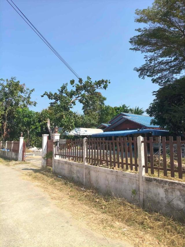 ที่ดิน พร้อมบ้านสวน ใจกลางเมือง ชุมชนไม่แออัด เงียบสงบ 5