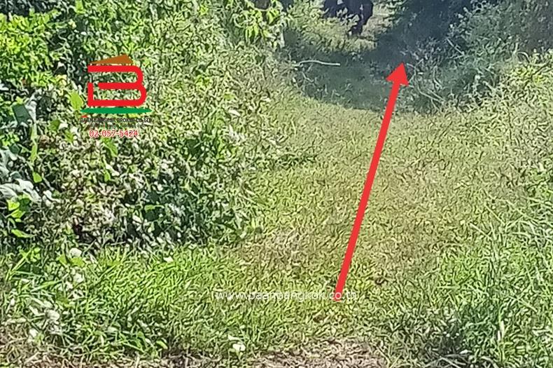 ที่ดินเปล่า(ยังไม่ถม) ซอยบ้านจิตธรรมดี-ลาดบัวหลวง (ตรงข้ามสวนอินทผาลัม) เนื้อที่ 2 ไร่ 800 ตรว. ถนนสายเอเชีย ตำบลพระยาบันลือ อำเภอลาดบัวหลวง 4