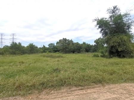 ขาย ที่ดิน ซอยแบนชะโด 3 คลองสามวา มีนบุรี 375 ตร.วา เหมาะทำโกดัง ฟาร์มผัก บ้านพักอาศัย 6