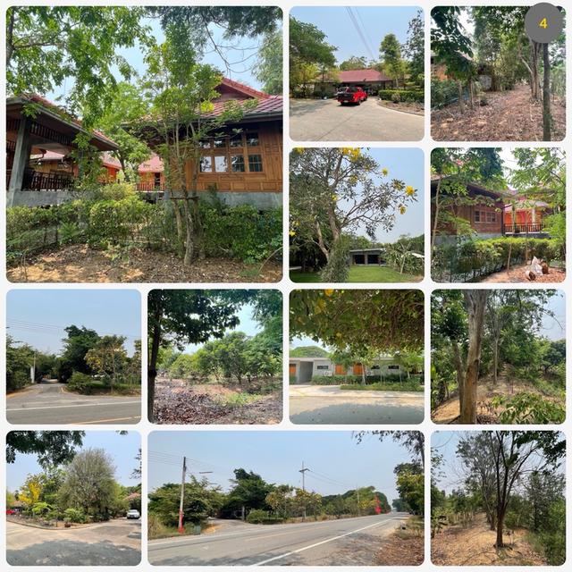 ที่ดินพร้อมสิ่งปลูกสร้าง 3