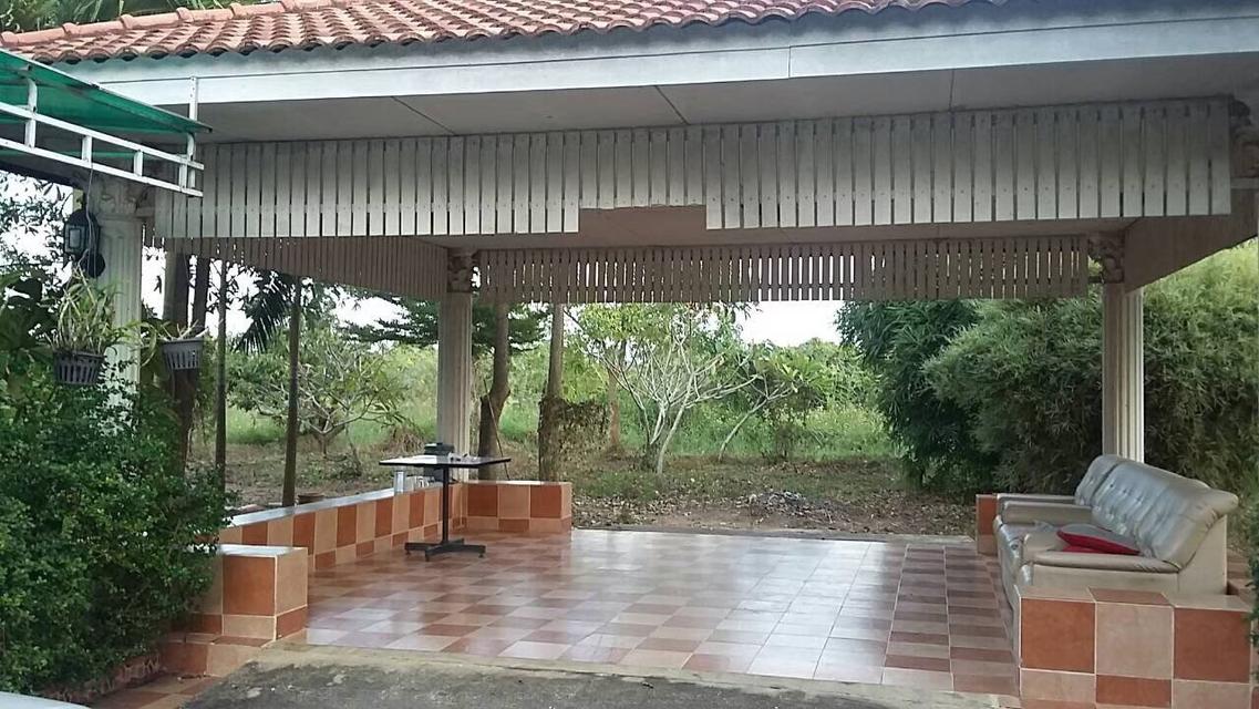 ที่ดินพร้อมบ้าน จังหวัด ลำพูน อำเภอเมือง 15