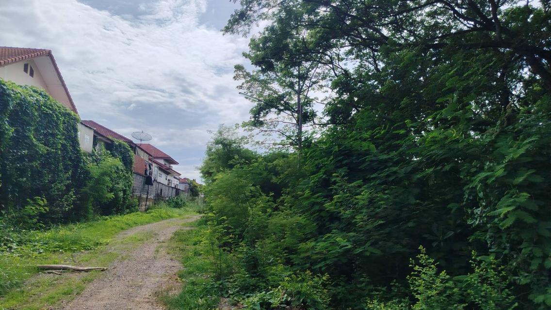ขายที่ดิน โฉนดครุฑแดง ทำเลทองนครสวรรค์ 9