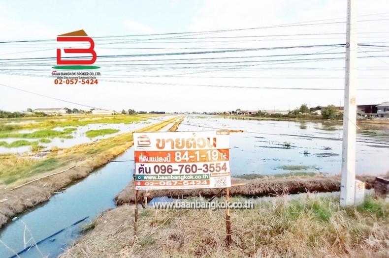 ที่ดินเปล่า ถนนเลียบตะวันออกคลอง 7, เทศบาลลำลูกกา ซอย 3 เนื้อที่ 84-1-19 ไร่ ตำบลลำลูกกา อำเภอลำลูกกา จังหวัดปทุมธานี 1