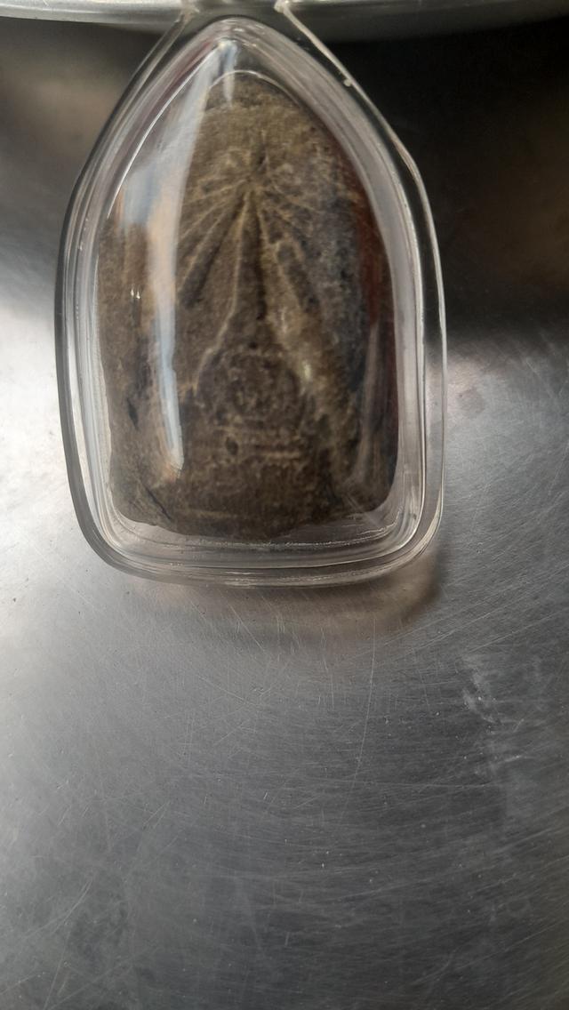 หลวงปู่ทวด อาจารย์นองตะกรุด๙ดอก