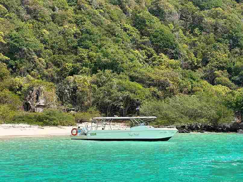 โปรแกรม SM115 ทัวร์ดำน้ำแสมสาร One day trip ราคา 1,800 บาท รวมทุกอย่าง จาก กทม.