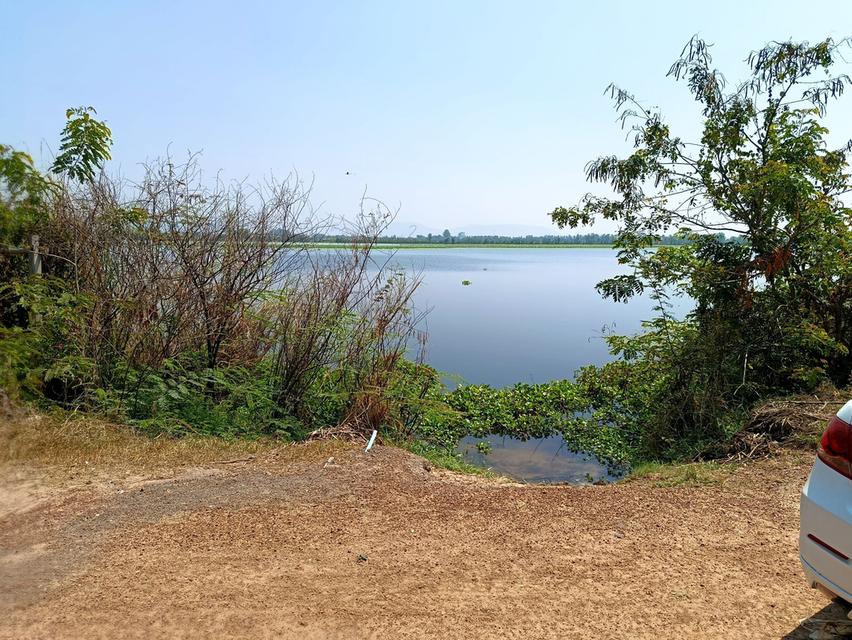 ที่ดิน 12 ไร่ อ.เมือง พิษณุโลก 6