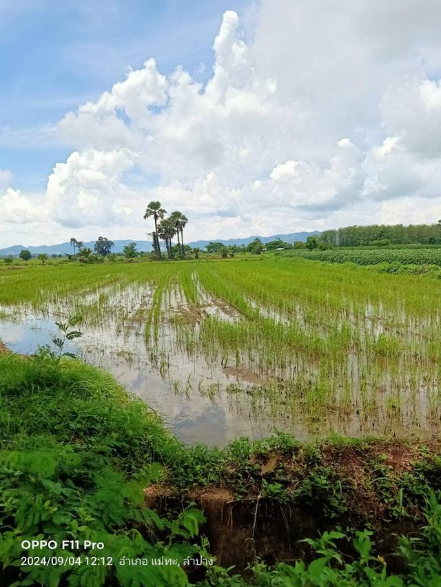 ขายที่ดิน ตำบลนาครัว อำเภอแม่ทะ จังหวัดลำปาง 1ไร่3งาน58 ตรว 