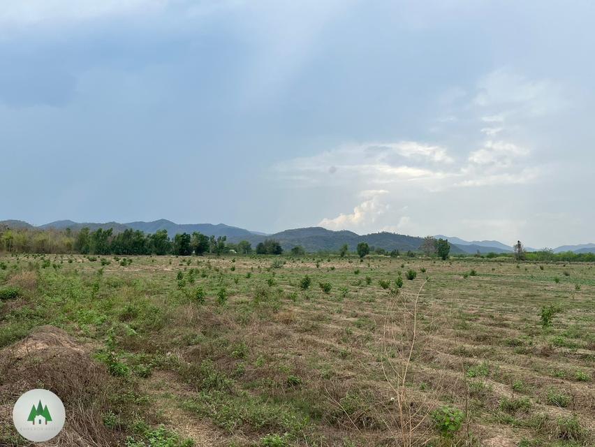 ขายที่ดิน บ้านกล้วย  ตำบลป่าหวาย อำเภอสวนผึ้ง  จังหวัดราชบุรี  เนื้อที่ 82 ไร่  ราคาไร่ละ 200,000 บาท  7