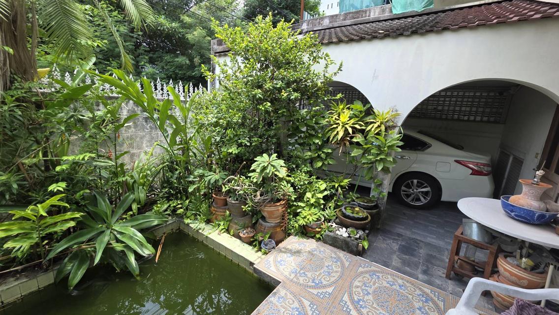 ขายบ้านเอกมัย 22 ซอยเยาวราช สุขุมวิท ที่ดิน 42 ตร.ว สภาพแวดล้อมน่าอยู่ ถนนกว้าง เข้าออกได้ทั้งเอกมัย ปรีดีพนมยงค์ ใกล้ BTSทองหล่อ Sukhumvit Ekkamai 3