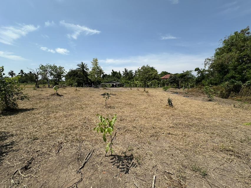 ขายที่ดิน 1 ไร่ 3 งาน ถมแล้ว ที่สวย บรรยากาศดี ร่มรื่น เงียบสงบ  ปลอดภัย ใกล้แหล่งท่องเที่ยว 5