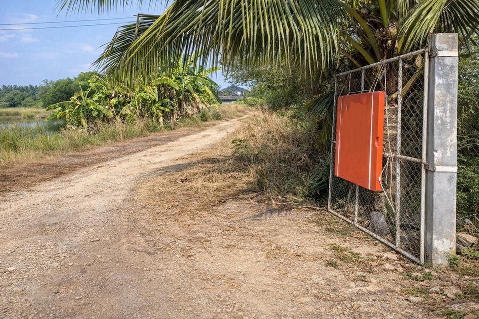 ขายที่ดินแปลงเดียว 2 โฉนด 250 ไร่ หนองหมู วิหารแดง สระบุรี เหมาะทำเกษตรและลงทุน 3