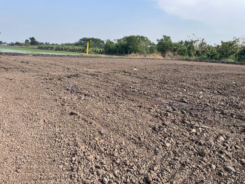 ขายที่ดินถูกสุดๆ ทำเลทอง ตำบล คลองห้า อำเภอคลองหลวง ปทุมธานี 16