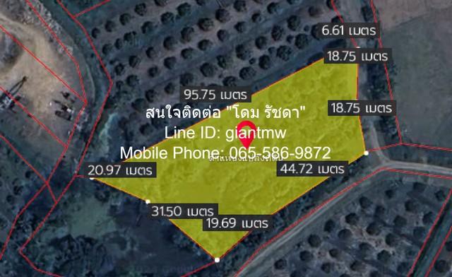 ขายที่ดินสวนลำไย ต.ขุนคง อ.หางดง จ.เชียงใหม่ (น.ส.4 จ) 2 ไร่, 2.5 ล้านบาท 1