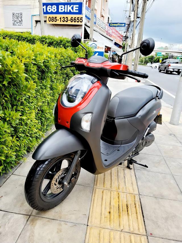 #Scoopy Club12 keyless 2026 🌟900.-