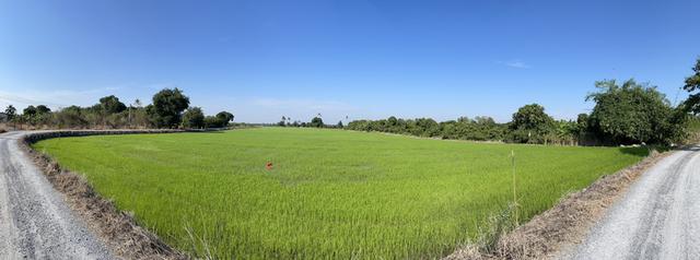 ที่ดินจังหวัดสุพรรณบุรี 4