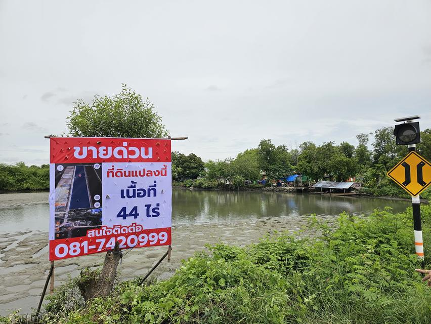 ที่ดิน สมุทรสาคร 44 ไร่ 11