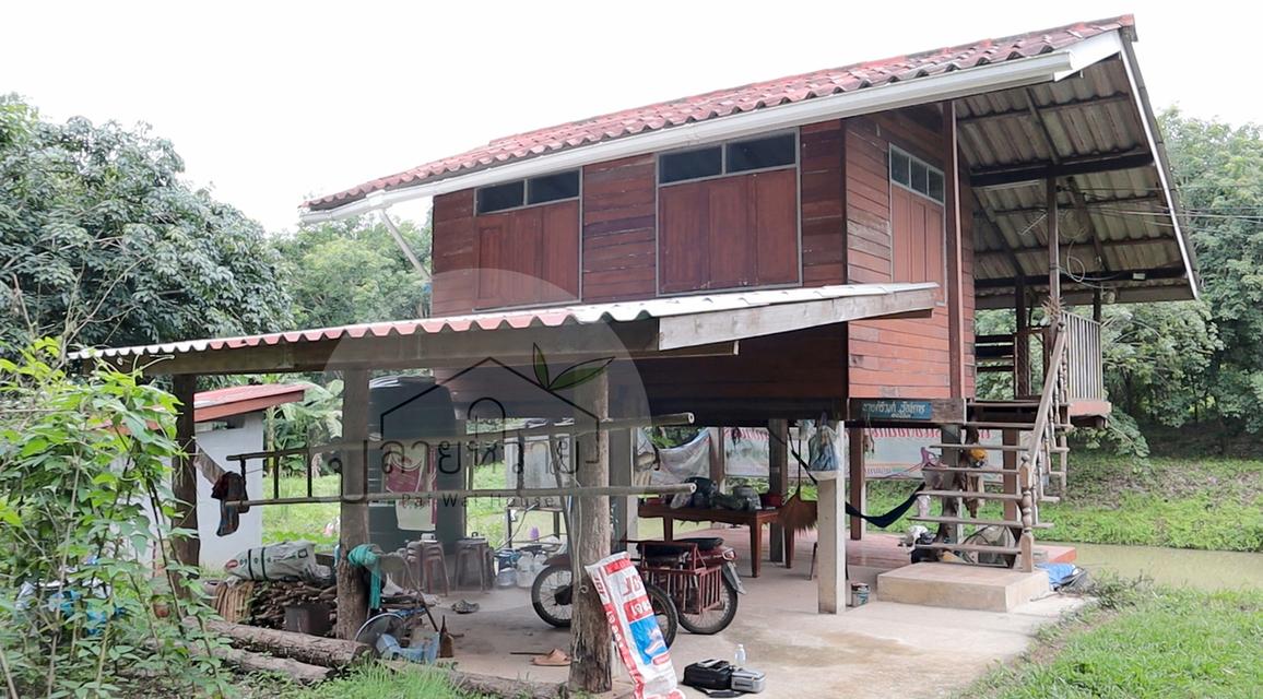ขายที่ดิน (โฉนด) บ้านพร้อมสวนยาง-จังหวัดน่าน 25 ไร่