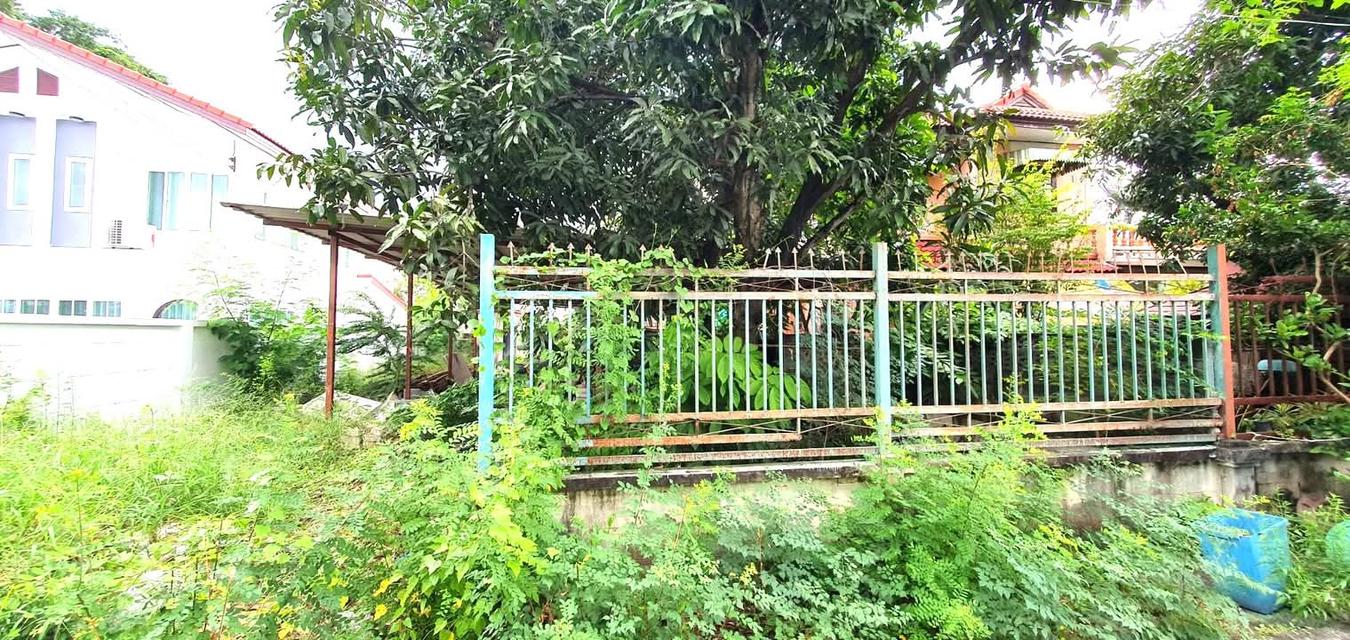 ขายที่ดินถมแล้ว เนื้อที่ 64.5 ตรว.ติดถนนหทัยราษฎร์ 30 2
