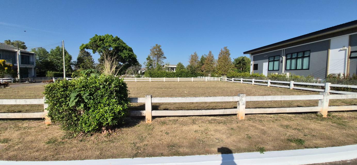 ที่ดินโครงการจัดสรร ต.ปากช่อง อ.ปากช่อง เนื้อที่ 151-343 ตรว. ว่าง 17 แปลง 6