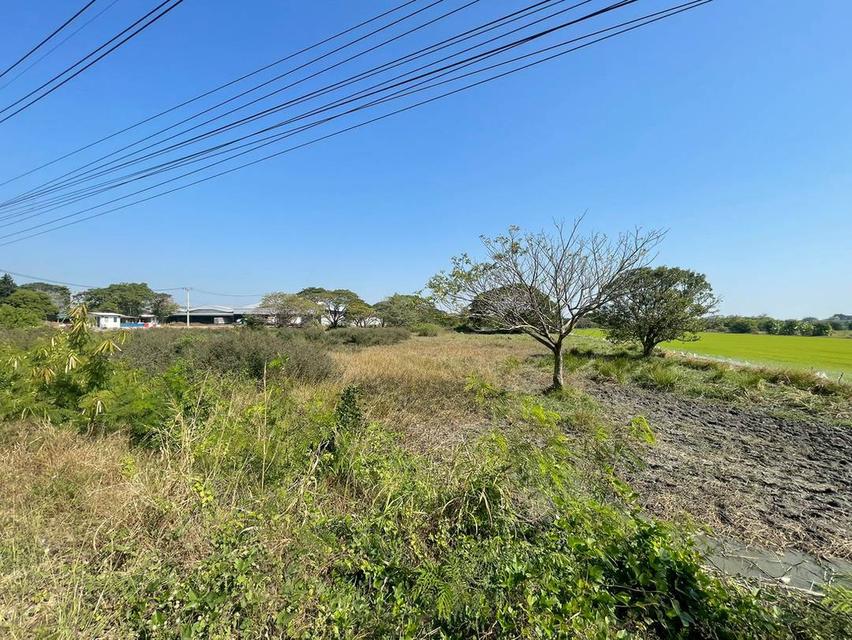 ที่ดินติดถนน ปทุมธานี สามโคก 14 ไร่ แปลงสวย ตำบาลบางเตย ใกล้มหาลัยชินวัตร 5