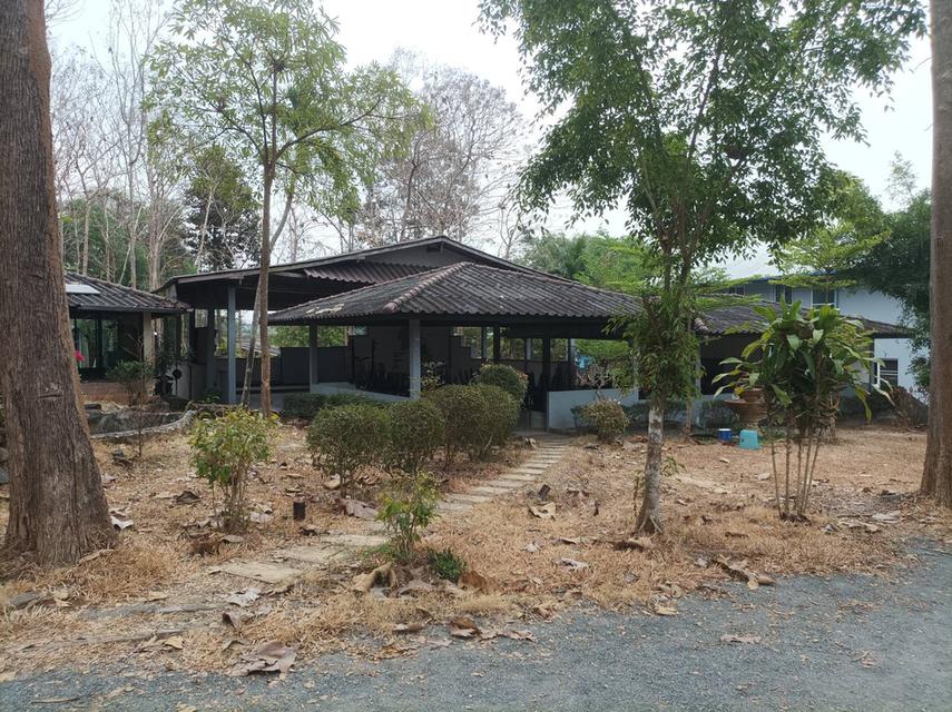 ขายที่ดินพร้อมสิ่งปลูกสร้าง ต.เชิงดอย อ.ดอยสะเก็ด จ.เชียงใหม่ 3