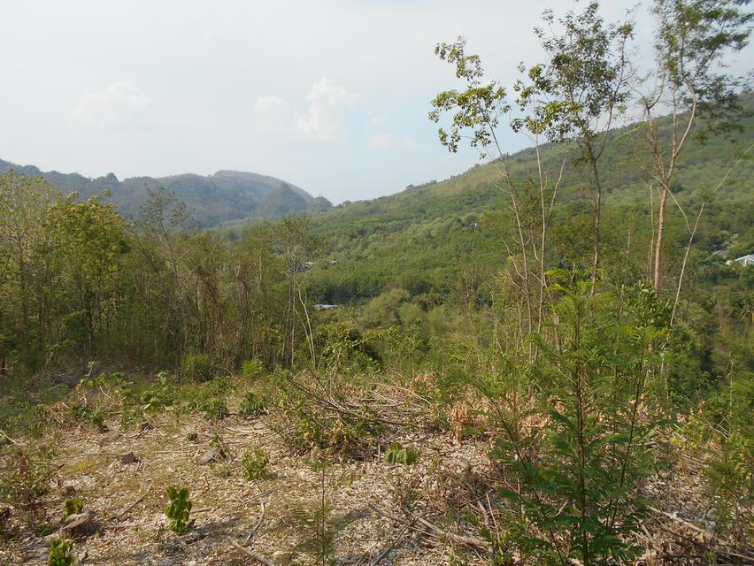 ที่ดินติดลำห้วย บ้านผาแดง ต.นายม อ.เมือง จ.เพชรบูรณ์ 13