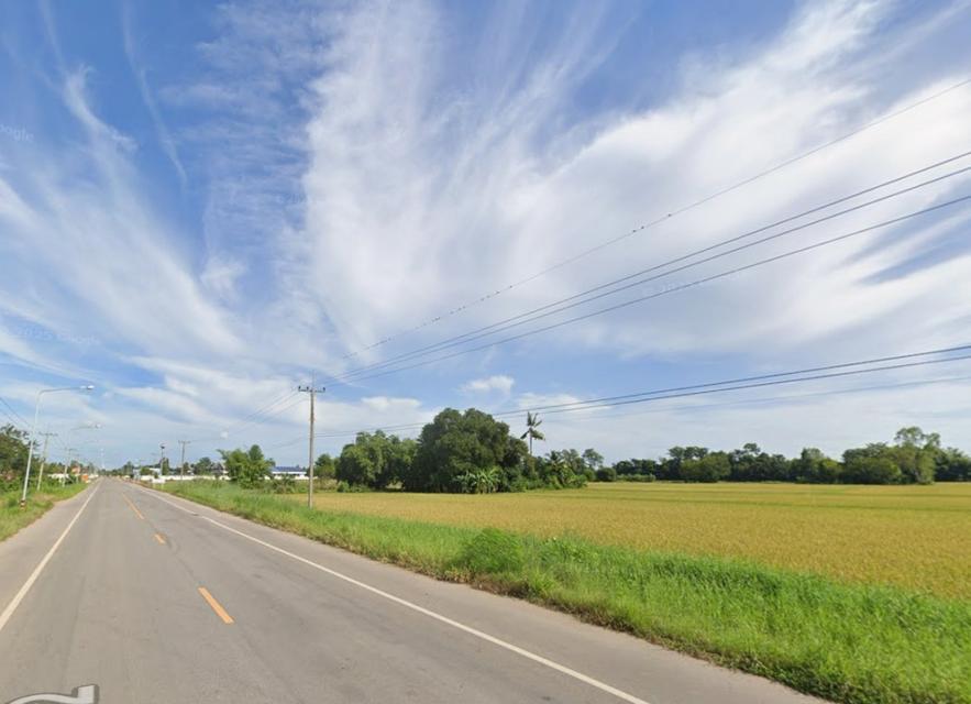 ขายที่ดิน 28 ไร่ 3 งาน 41.2 ตร.ว. ติดถนนใหญ่ ตรงข้ามอนามัย ใกล้ อบต.วังซ่าน 3