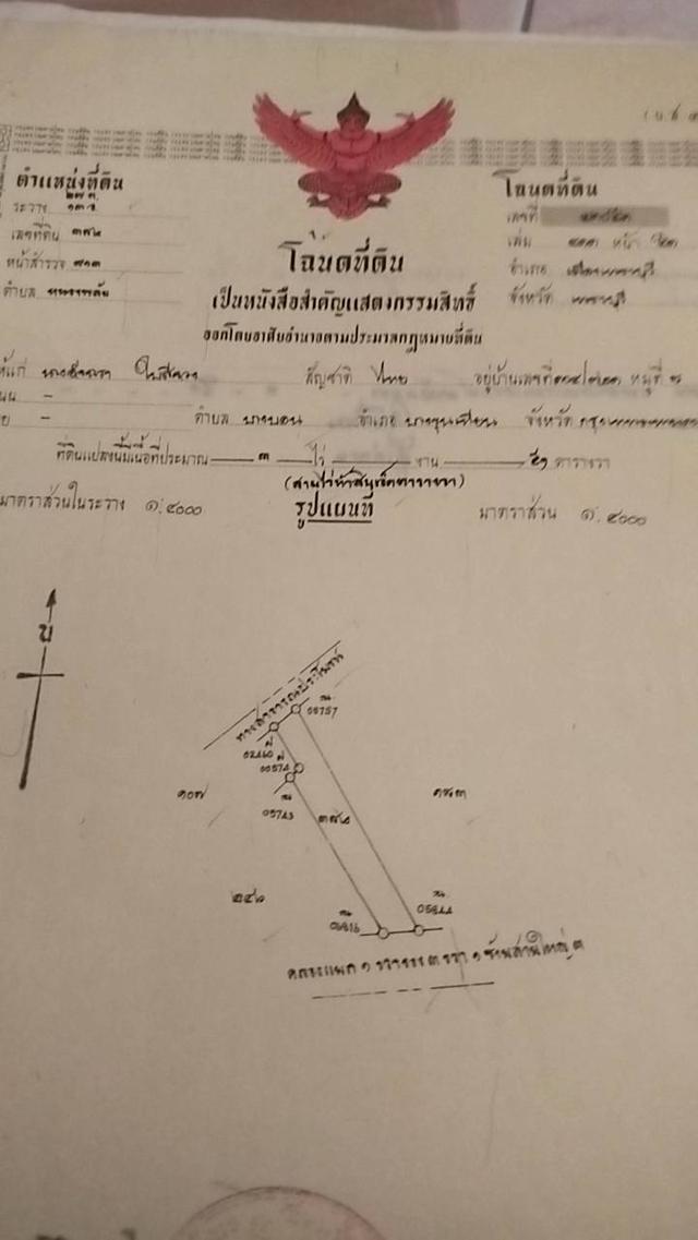 ที่ดินจำนวน 2 ไร่ ที่สวยติดถนน ตำบลหนองพลับ อำเภอเมือง จังหวัดเพชรบุรี 3