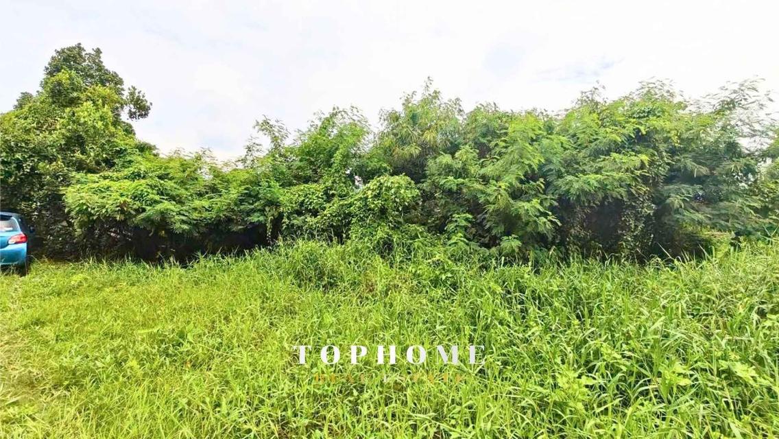 ขายด่วน❗️ ที่ดินพร้อมบ้าน ซอยชัยพฤกษ์ 18 ถมเเล้ว ใกล้ Central Pinklao 🏠ทำเลดี น่าลงทุน📌 14