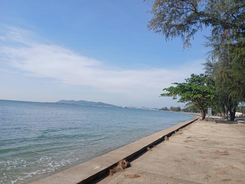 ที่ดินห่างชายทะเลหาดสวนสน จ.ระยอง 500 เมตร 8
