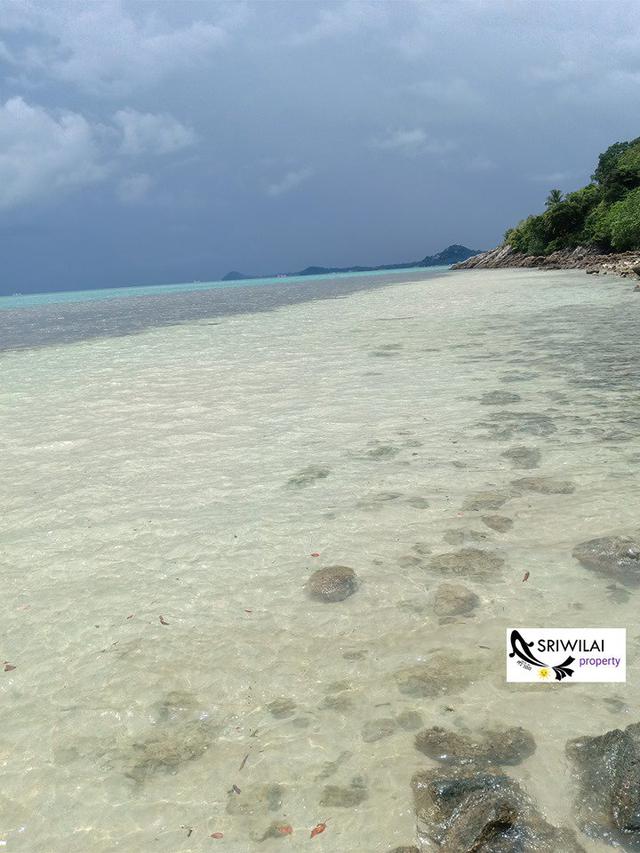 ขายที่ดิน24ไร่ ติดทะเลชายหาดพร้อมซีวิวหมู่เกาะน้อยใหญ่ในทะเลอ่าวไทยเกาะสมุย 1