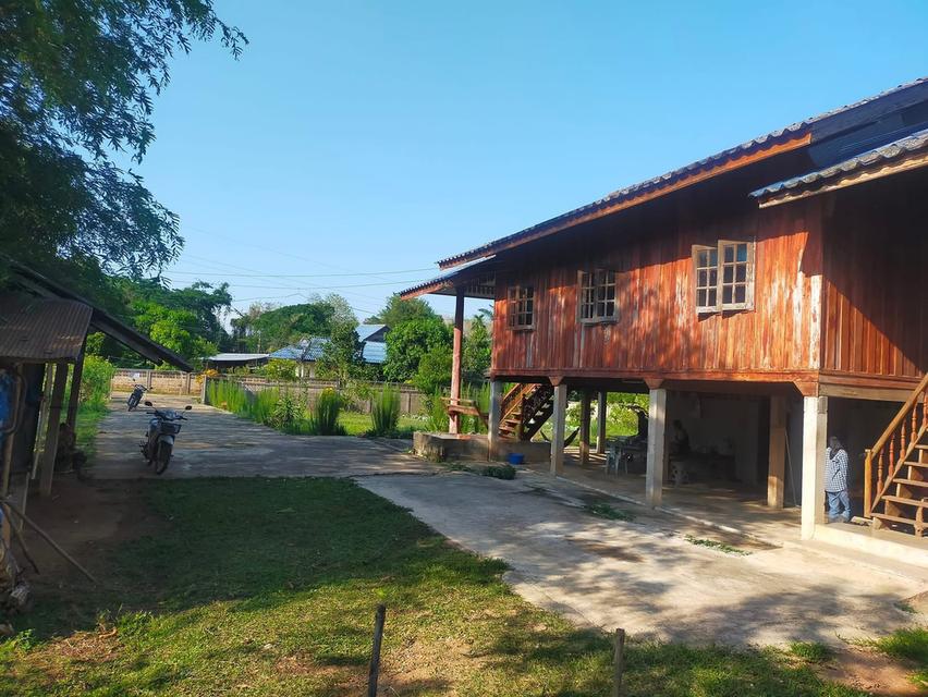 ขายบ้านพร้อมที่ดิน วิวสวย บรรยากาศดี 🌿 🏡 บ้าน 2 ชั้น บนไม้ ล่างปูน 📐 เนื้อที่ 1 ไร่ 1 งาน 💰 ราคา 3.49 ล้านบาท (ต่อรองได้) 📍 บ้านเหมืองลึก ต.โป่งแ 2