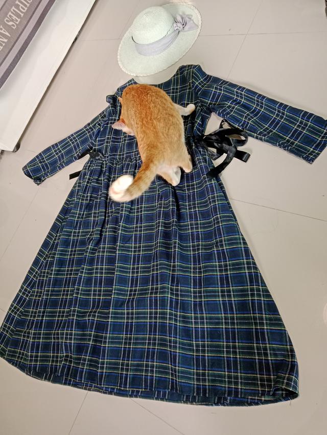 เดรสลายสก๊อต Size L ถึง XL สีในไม่บลูมีโบว์ 2 ข้างที่เอว รูปที่ 5