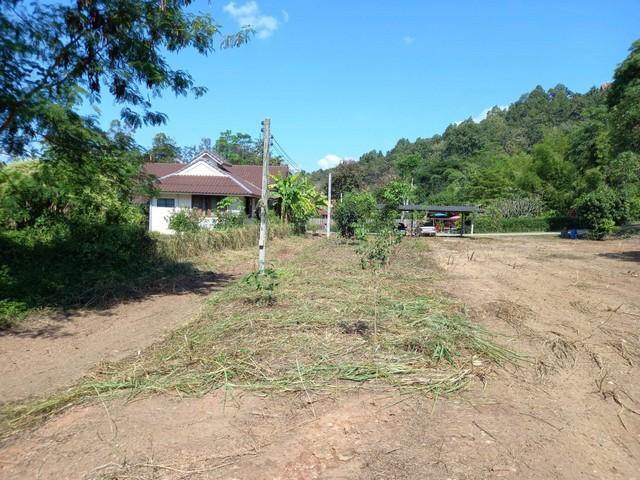 รูป พื้นที่ดิน ที่ดิน เทศบาลตำบลแม่แตง เชียงใหม่ 0 Rai 3 ngan 0 ตรว. 1170000 THB ONE PRICE! เชียงใหม่ 5