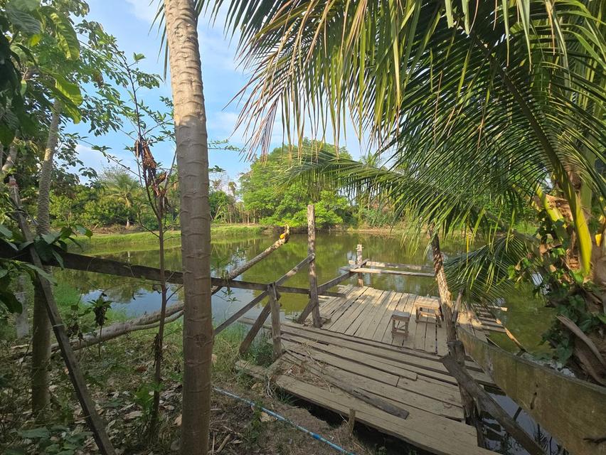 ขายที่ดินพร้อมโรงงานและบ้าน