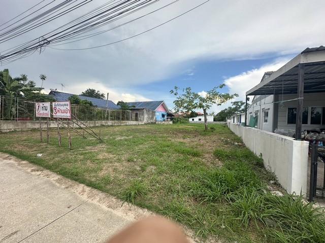 ขายที่ดินตัวเมืองพนัสนิคม บนเนื้อที่ 287 ตรว.เหมาะสำหรับ:ปลูกบ้าน, หอพัก, บ้านจัดสรร, แบ่งล็อค 3