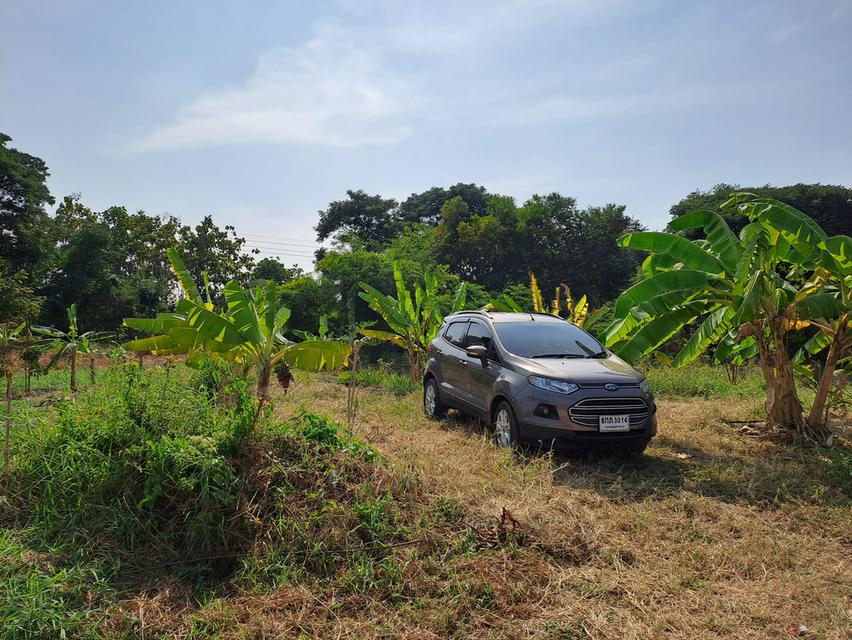 ขายที่ดินเปล่า 280 ตรว. หลังอนามัยคลองตาคล้าย บางบัวทอง นนทบุรี 1