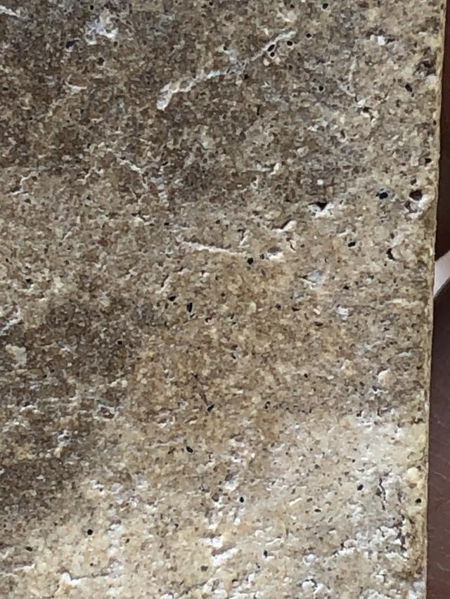 พระสมเด็จวัดระฆังพิมพ์ใหญ่ รูปที่ 5