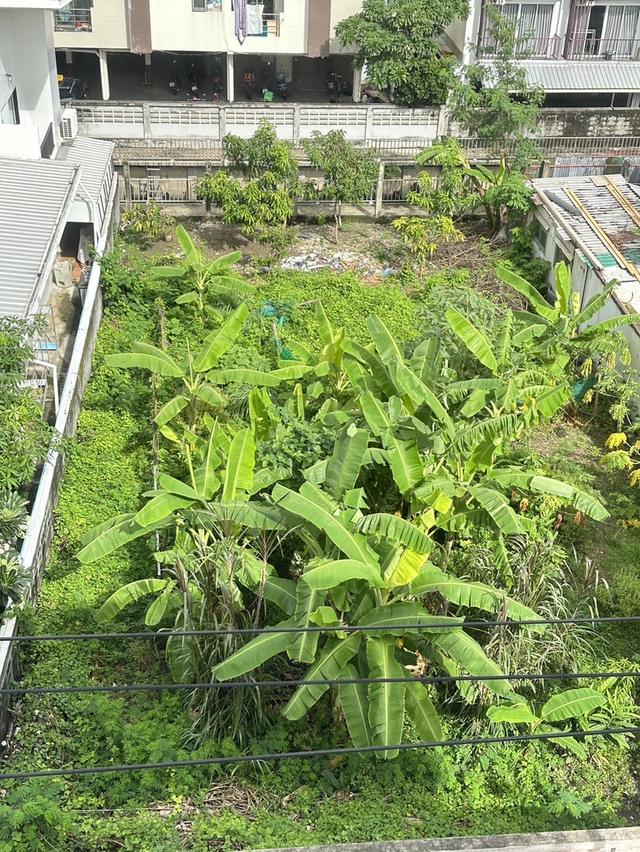 ขายที่ดิน 100 ตร.วา ซ.ประดิษฐ์มนูญธรรม 6 ใกล้ทางด่วน ทำเลชุมชน เข้าเมืองง่าย เดินทางสะดวก 6