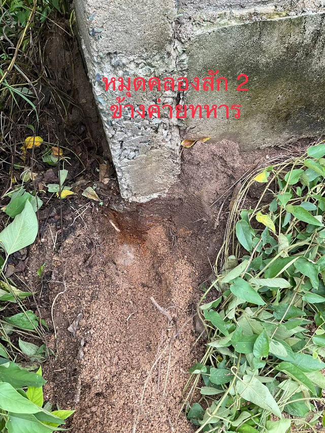 ขายที่ดิน 135 ตารางวา อยู่ปากทางเข้าเขาคันทอง อยู่หลังโลตัส เอ็กซ์เพรส คลองสัก 4